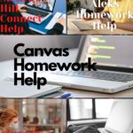 college-homework-helper (4)